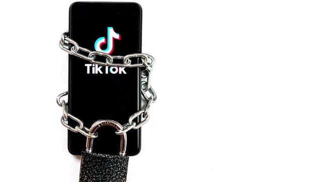 The EU banned TikTok on government devices