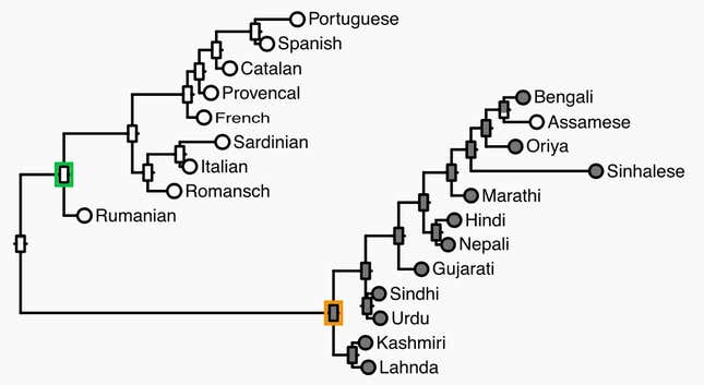 Image for article titled A massive data dive proves that languages and genes evolve together
