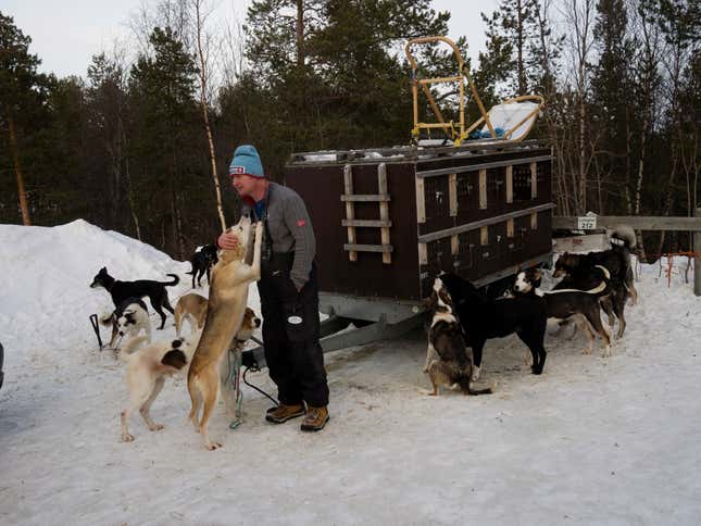 Stefan Falter with his dogs the day before the race starts.