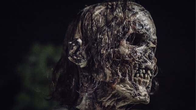 A close-up of the rotting, eyeless, noseless head of a zombie.