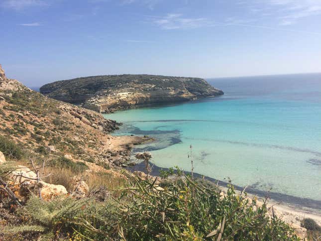 Isola dei Conigli, Lampedusa.