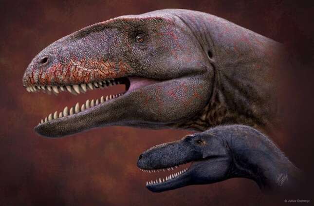 Imagen para el artículo titulado Los primeros Tyrannosaurus eran una víctima más de este enorme nuevo dinosaurio con dientes de tiburón