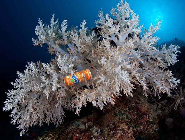 Image for article titled Submerged Trash Adds Welcome Pop Of Color To Bleached Coral Reef