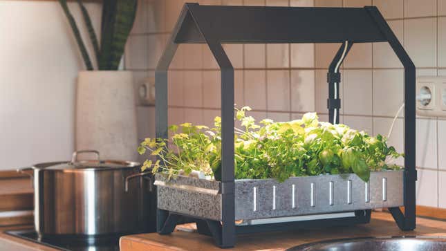 Image for article titled How to Start a Hydroponic Garden