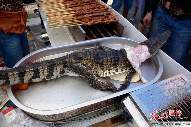 Crocodile for barbecue in Shandong Province.