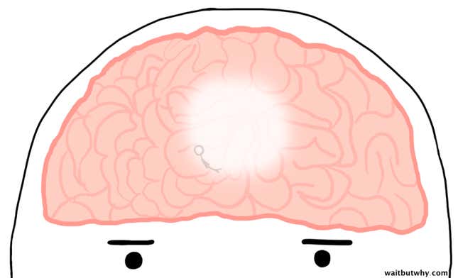 Image for article titled A successful life depends on following your instincts over your primal need to fit in