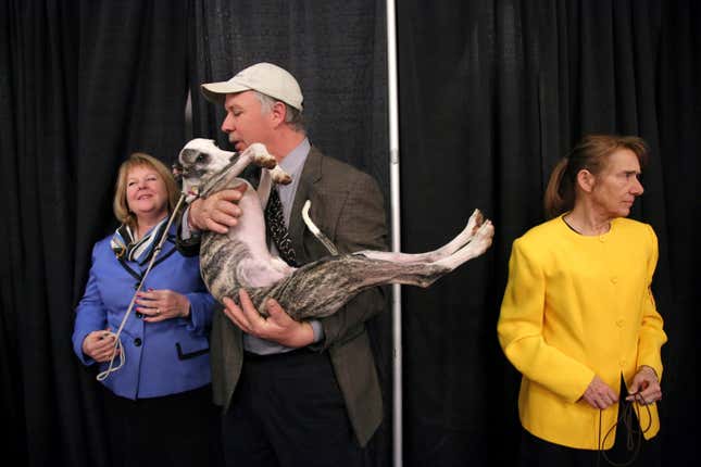 Image for article titled King’s realm: Behind the scenes at the Westminster Dog Show