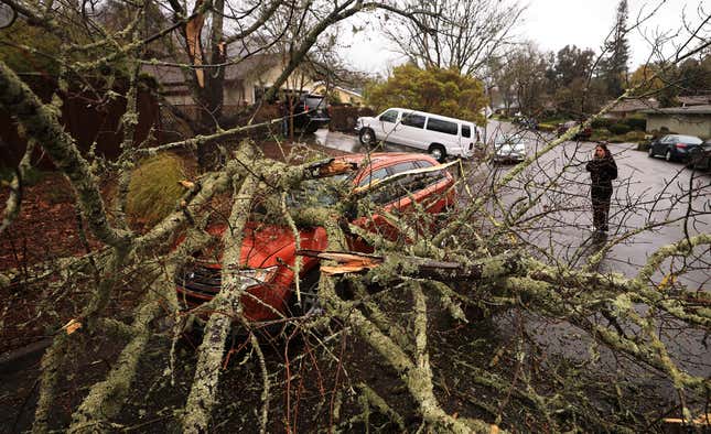 Amber Balog surveys the damage to a friend’s vehicle, Tuesday, March 21, 2023, after a saturated and wind-blown limb fell on Monte Verde Drive in Santa Rosa, Califrnia. 