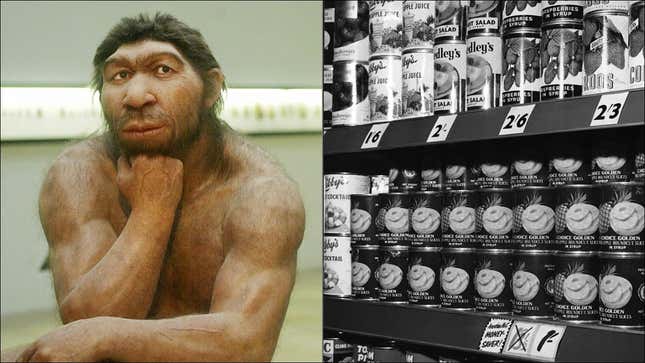 Left: Reconstruction of a Neanderthal man; Right: Black and white photo of tin cans lined up on a supermarket shelf