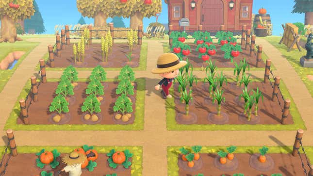 A screenshot of a villager with a thriving farm filled with the new crops from the Animal Crossing update.