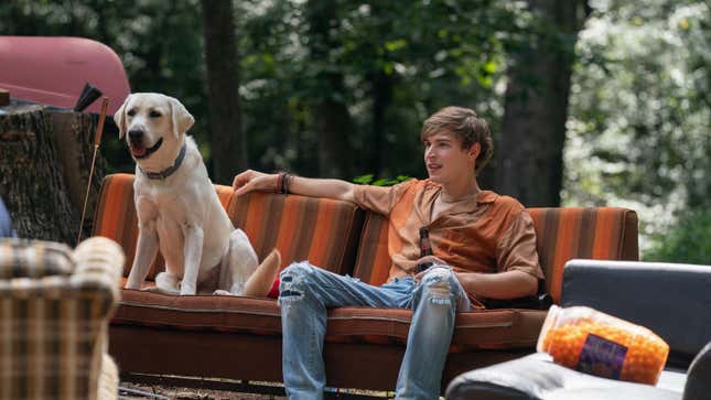 Canine star Gonker and human star Johnny Berchtold in Dog Gone