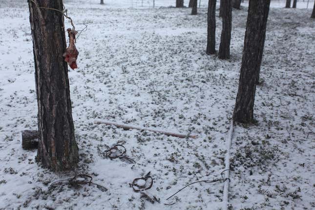 Image for article titled Photos: The gorgeous simplicity of life as a Siberian nomad