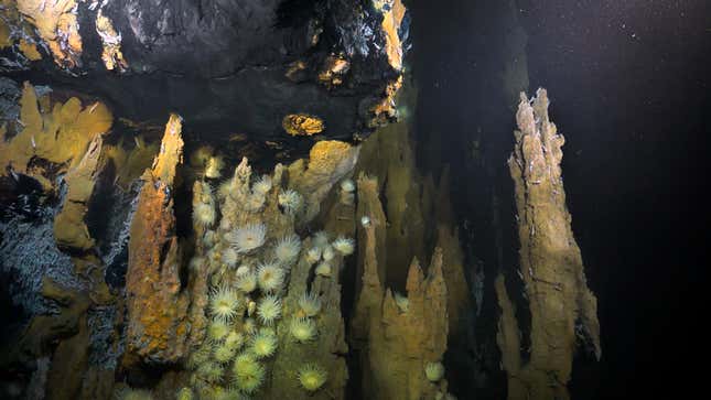 Another view of the vent. Only a quarter of the ocean floor has been mapped.