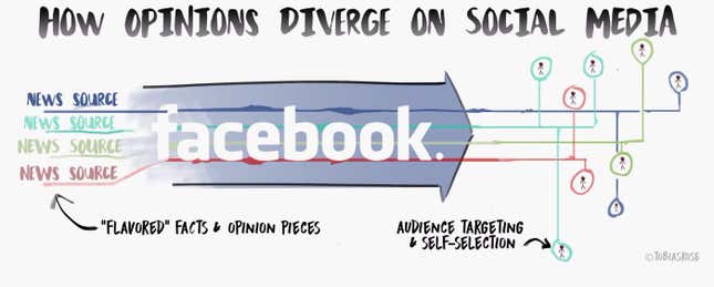 opinion divergence on social media