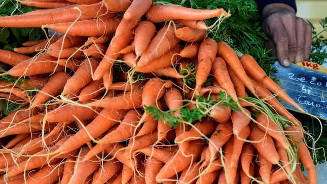Pile of large orange carrots
