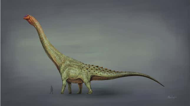 Ilustración de un paleoartista de un titanosaurio (Patagotitan) comparado con un humano.