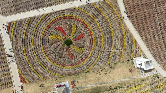 Image for article titled Aerial photos reveal the hypnotic geometry of farming