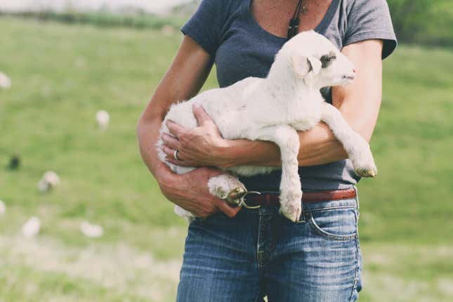 Sharon, Dalla Terra Ranch