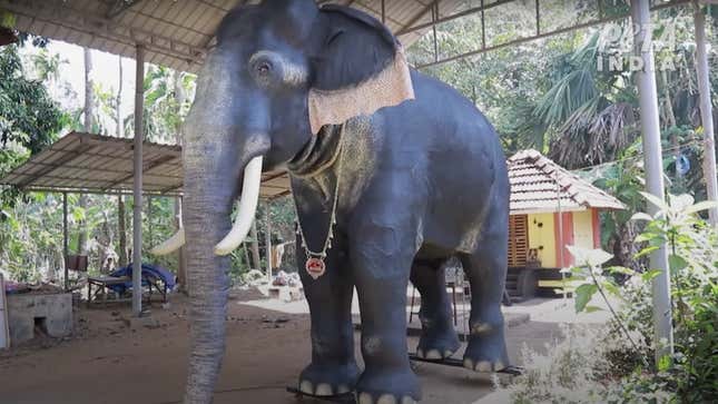 A robotic elephant named Irinjadappilly Raman was donated to the Sree Krishna Temple in India
