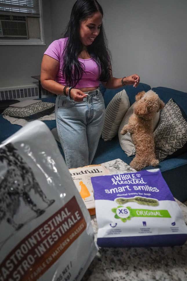 Melissa Chavez feeds a treat to her toy poodle Milo, Thursday, Aug. 24, 2023, in New York. When Chavez decided to get a dog in the summer of 2020, she had an idea of the costs but was surprised by how fast they added up. (AP Photo/Bebeto Matthews)