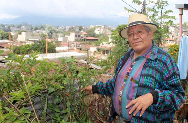 Simeon Taquira grows natural medicines on his roof.