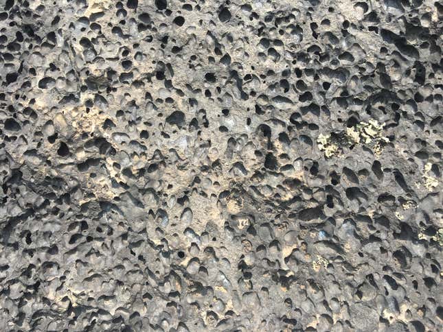 The extremely porous lava rock of the Pedregal.