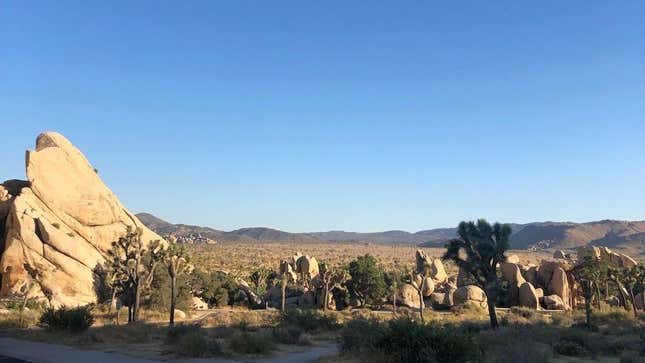 Image for article titled What's The Best Road Trip Stop?