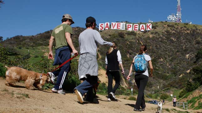 Hikers pass near the iconic 450-foot-long Hollywood sign after activists covered it with banners that read "Save The Peak" during an effort to prevent the building of mansions in the 138-acre parcel on Cahuenga Peak on February 13, 2010.