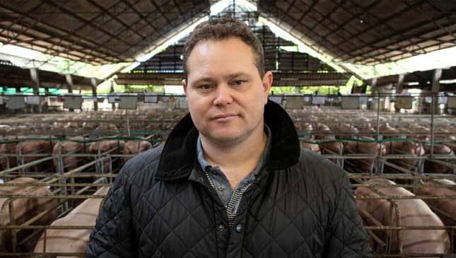 Image for article titled Distraught Factory Farmer Knew He Shouldn’t Have Named All 7,000 Pigs