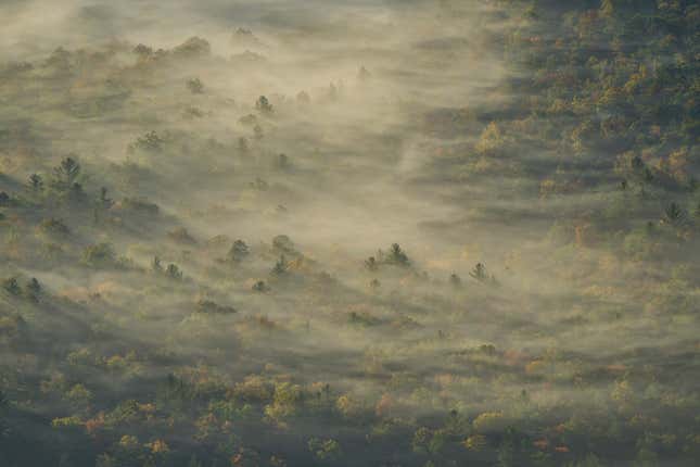Photo of fog covered forest from above