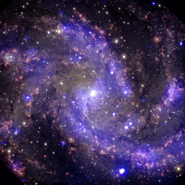The Fireworks Galaxy as seen by the Chandra X-Ray Observatory.
