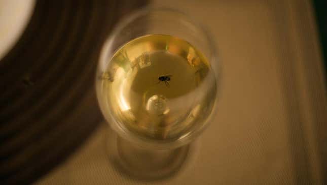 Image for article titled 9 of the Most Baffling Food-Related Deaths in History