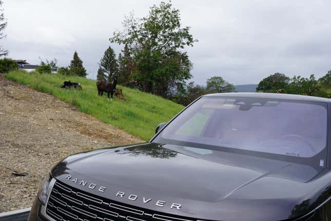 Image for article titled The New Range Rover Is All Things To Very Few Men