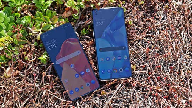 A photo of the OnePlus 9 and 9 Pro laying in shrubbery 