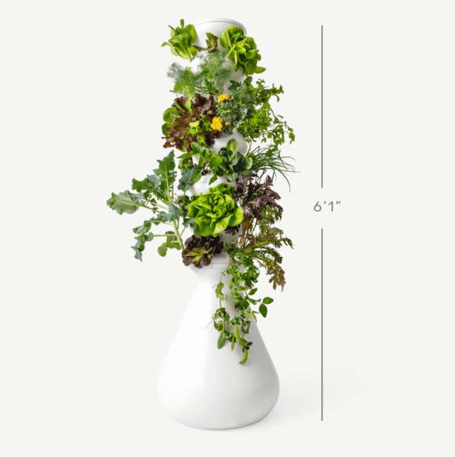 The 24-plant Lettuce Grow, $549