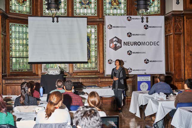 Helena Knotkova, a medical professor and the director of clinical research at a palliative care center in New York City, speaks to researchers from across the US and Canada who already use tDCS or intend to study its effect in patients with migraines, depression, pain, loss of movement, or the inability to speak after a stroke.
