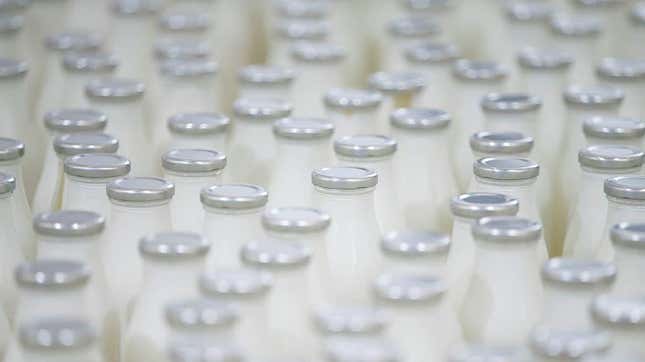 Row of milk bottles