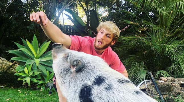 A photo shared on Twitter shows Paul feeding Pearl when she is much bigger.