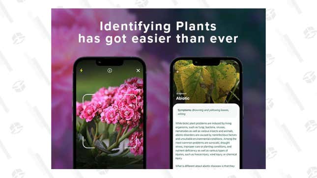   Nature ID Plant Identification Premium Plan | $15 | StackSocial 