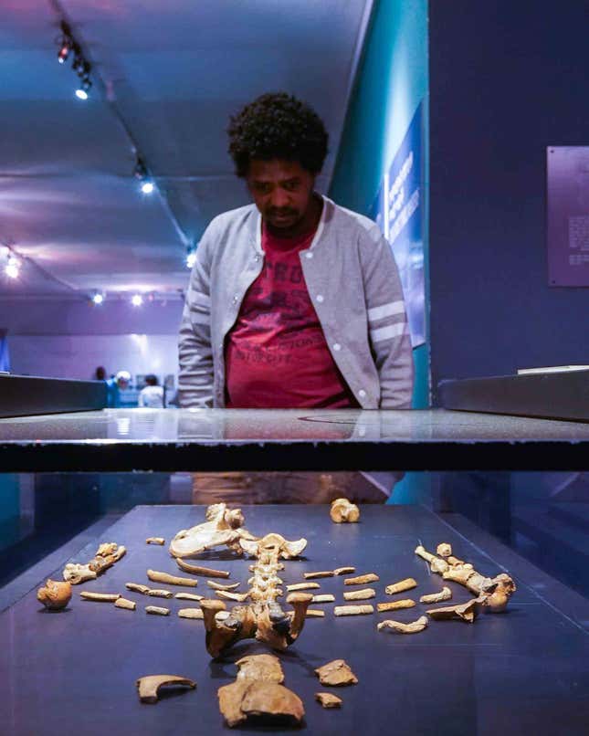 Getnet Assefa gazes over the remains of Lucy, the 3.2 million-year-old hominid discovered in Ethiopia in 1974. “I don’t think Homo sapiens-type people will exist in 10 or 20 years’ time,” he says.