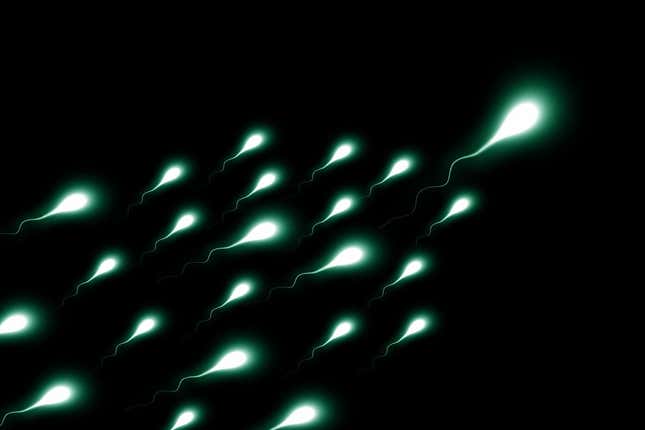 Imagen para el artículo titulado Científicos exponen esperma en microgravedad para ver si los bebés pueden nacer en el espacio