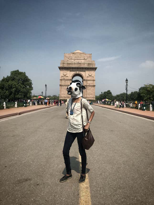 Image for article titled A striking photo project asks why India is better at protecting its cows than its women