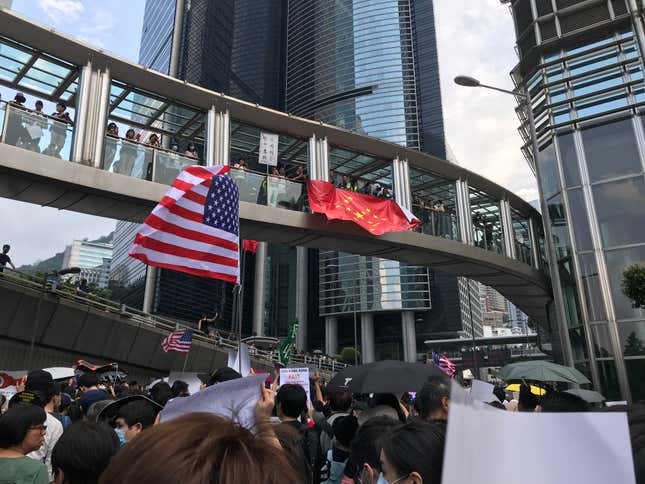 The “Chinazi” flag flying over a large crowd of protesters.