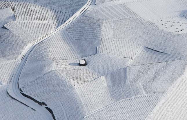 Image for article titled Aerial photos reveal the hypnotic geometry of farming