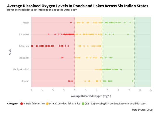 Image for article titled India’s ponds and lakes are witnessing mass fish death