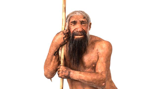 A reconstruction of a male Neanderthal.
