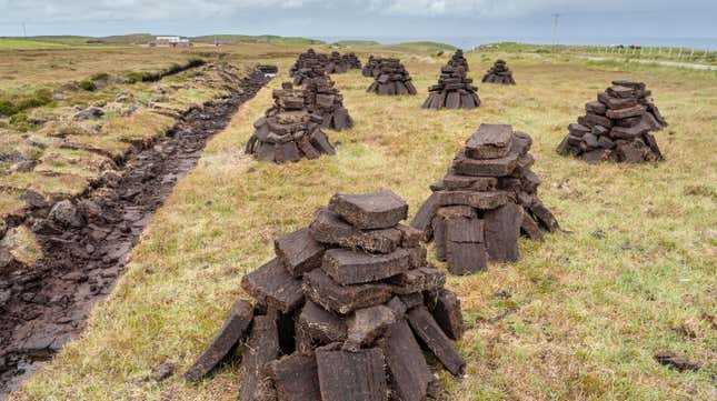 Image for article titled Why You Shouldn&#39;t Use Peat in Your Garden, and What to Use Instead