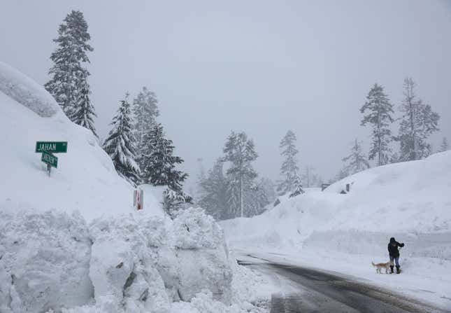 A person walks a dog near snowbanks piled up from current and previous storms as snow continues to fall in the Sierra Nevada mountains, in the wake of an atmospheric river event, on March 11, 2023. 