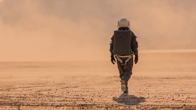 Image for article titled NASA Wants to Pay You to Isolate on Fake Mars for 8 Months