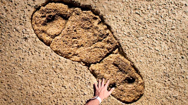 Image for article titled World’s Largest Dinosaur Shoe Print Discovered In Australia